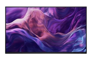 Monitor Dell P2425H 23.8 FHD IPS bez podstawy z USB-C