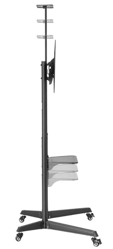 Stojak mobilny Neomounts FL50-550BL1 do monitorów 37-70 cali z regulacją