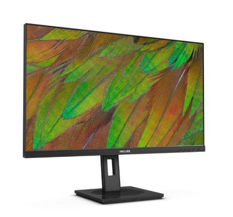 Philips Monitor 27B1N3800 27 cali 4K IPS HDMI DP USB-C z głośnikami