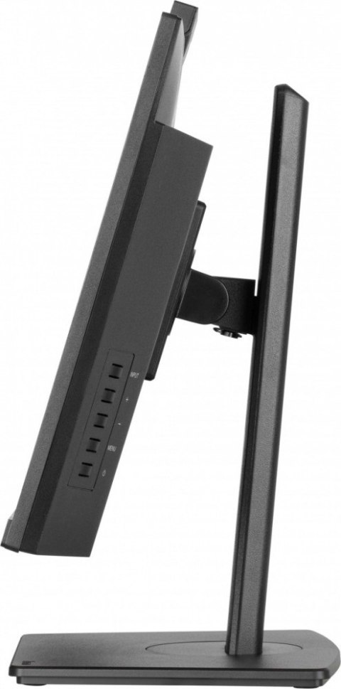 Monitor IIYAMA ProLite XUB2490HSUH-B2 24 FHD IPS z kamerą i mikrofonem