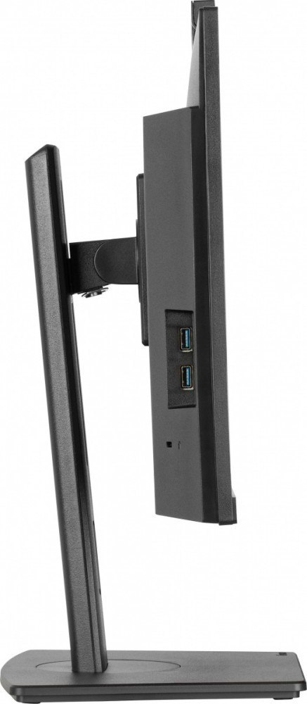 Monitor IIYAMA ProLite XUB2490HSUH-B2 24 FHD IPS z kamerą i mikrofonem