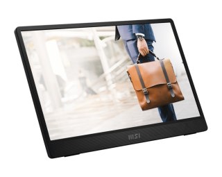 MSI Monitor 15.6 cala PRO MP161 E2U LED FHD szary matowy
