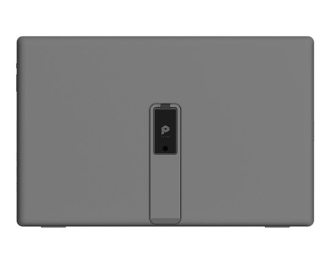 MSI Monitor 15.6 cala PRO MP161 E2U LED FHD szary matowy