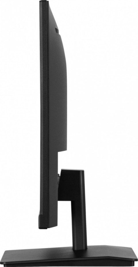 Monitor IIYAMA ProLite XU2491H-B1 24 cale IPS 100Hz FHD HDMI DP 0,5ms