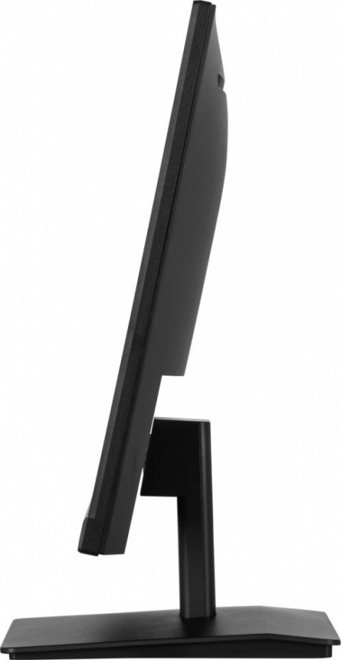 Monitor IIYAMA ProLite XU2491H-B1 24 cale IPS 100Hz FHD HDMI DP 0,5ms