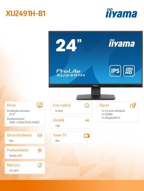 Monitor IIYAMA ProLite XU2491H-B1 24 cale IPS 100Hz FHD HDMI DP 0,5ms