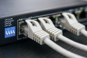 Kabel Extralink KAT.6 UTP 305m wewnętrzny do sieci LAN