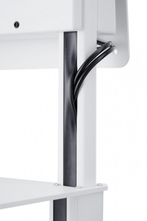 Wózek wideokonferencyjny Edbak TRF100 z obrotową głowicą 55-65 cali VESA