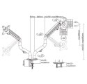 Ramię Gembird na dwa monitory biurkowe regulowane 17-32 cali 8kg