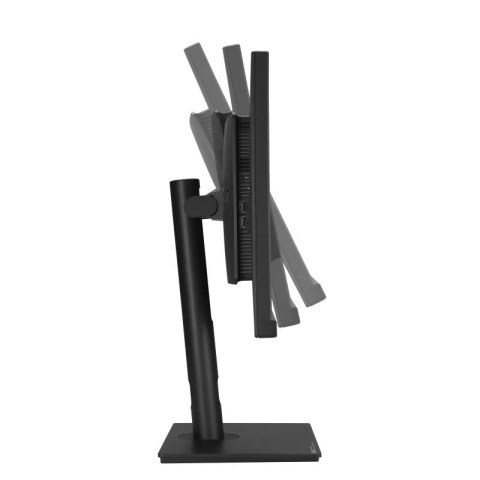 Asus Monitor 34 cale ProArt PA348CGV IPS 21:9 QHD 120Hz z głośnikami