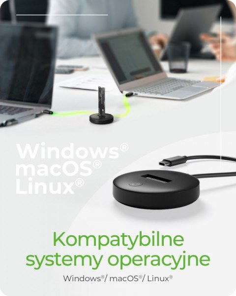 IcyBox Stacja dokująca NVMe SATA SSD IB-1610MCD-C31 szybka kompaktowa