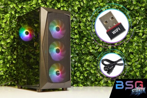 BSG Striker V12 AMD Ryzen 5 AMD Radeon RX 6600 64GB DDR4 1000GB SSD Windows 11 Pro