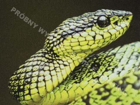 Podkładka Natec Printable 220x180 biały gamingowy z nadrukiem