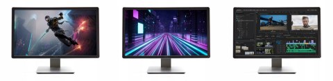 Duży Monitor Dell P2416Db 24 cale WQHD HDMI DisplayPort D-SUB (VGA) 16:9