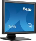 Monitor IIYAMA ProLite T1731SR-B1S 17 cali TN HDMI DP IP54
