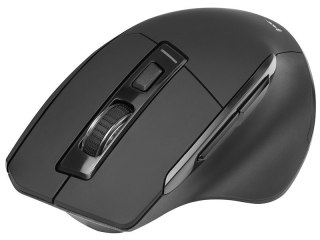 Mysz bezprzewodowa Tracer Cozy RF 2.4 GHz ergonomiczna z optycznym sensorem
