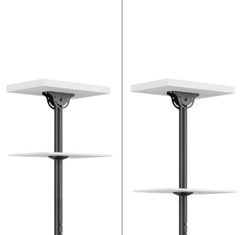 Uchwyt sufitowy Neomounts CL35-340BL12 23-42 cale regulowany z VESA