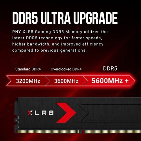 PNY Pamięć DDR5 64GB 6000MHz C30 Gaming z radiatorem