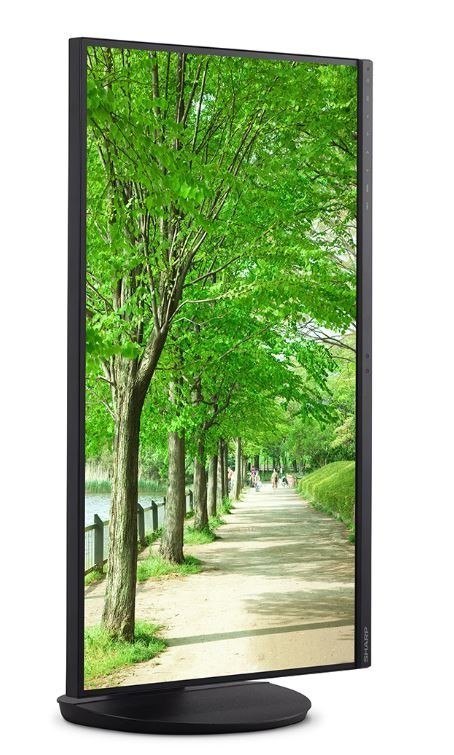 Monitor Sharp MultiSync EA272Q 27 cali czarny Quad HD z USB-C