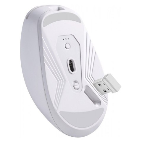 Mysz Defender NITTA MM-307 bezprzewodowa 1600DPI BIAŁA biurowa