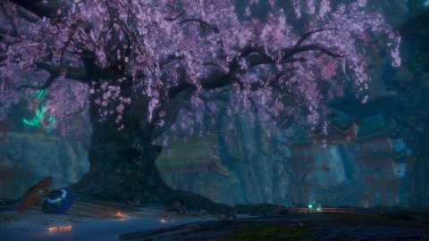 Gra Nintendo Switch 2 Wild Hearts S RPG akcji multiplayer