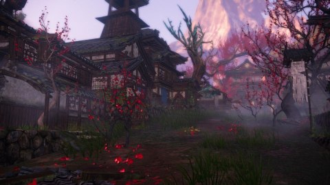 Gra Nintendo Switch 2 Wild Hearts S RPG akcji multiplayer