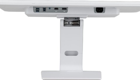 Monitor iiyama ProLite T2452MSC-W1 24 cali Full HD IPS dotykowy 10 pkt HDMI