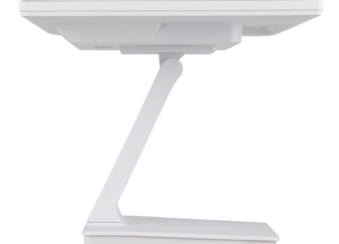 Monitor iiyama ProLite T2452MSC-W1 24 cali Full HD IPS dotykowy 10 pkt HDMI