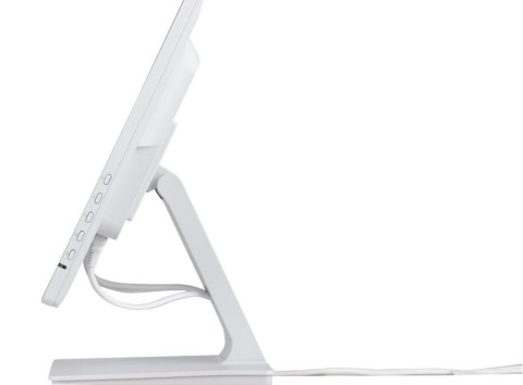 Monitor iiyama ProLite T2452MSC-W1 24 cali Full HD IPS dotykowy 10 pkt HDMI