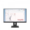 Monitor Lenovo ThinkVision E24-40 23.8 Full HD IPS 100 Hz LED pivot HDMI DP
