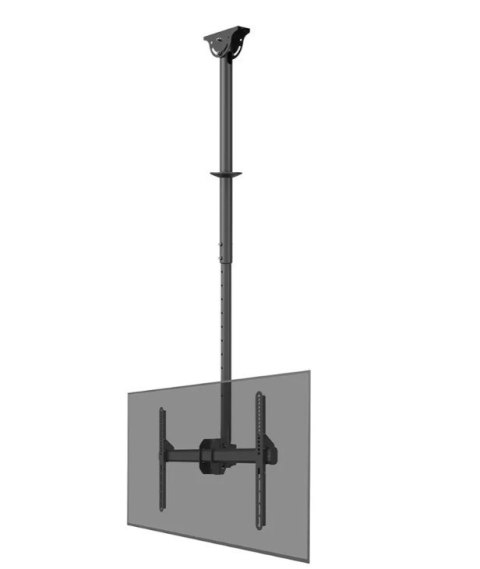 Neomounts Uchwyt do monitora/TV CL35-440BL16L 37-70 cali 50kg