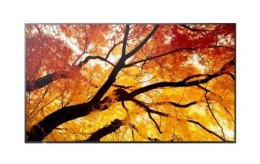 Monitor Sharp MultiSync M322 32 cali Full HD LED matowy signage 24 7 trwały