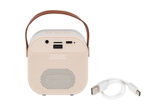 BLOW Głośnik Bluetooth Karaoke RGB