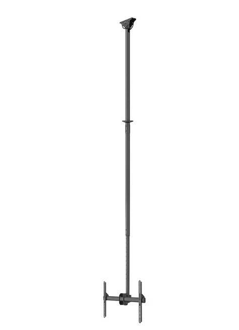 Neomounts Uchwyt sufitowy TV/LCD CL35-440BL16XL 37-70 cali 50kg