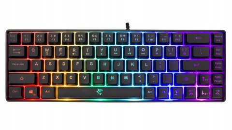 Zestaw Gamingowy Na Prezent Klawiatura + Mysz White Shark LED Dla Gracza