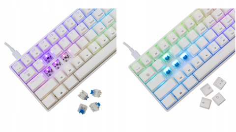 Zestaw Gamingowy Na Prezent Klawiatura + Słuchawki White Shark Dla Gracza