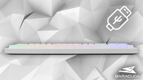 Klawiatura Gamingowa Baracuda BGK-01114 Krill Biała USB TKL RGB US