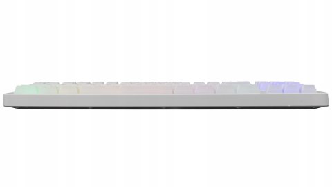 Klawiatura Gamingowa Baracuda BGK-01114 Krill Biała USB TKL RGB US