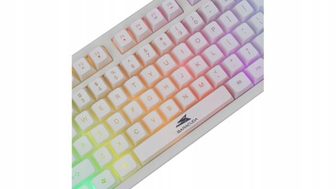 Klawiatura Gamingowa Baracuda BGK-01114 Krill Biała USB TKL RGB US