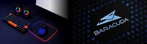 Klawiatura Gamingowa Baracuda BGK-03121 Dolphin Czarna Blue Switch RGB USB