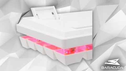 Klawiatura Gamingowa Baracuda BGK-03211 Dolphin Biała Red Switch RGB USB