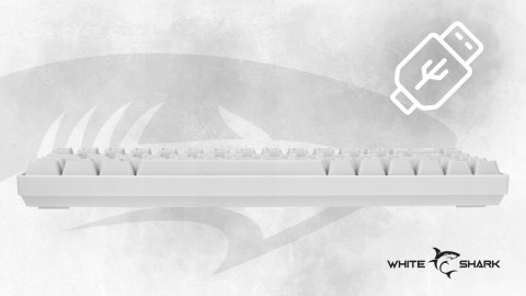 Klawiatura Gamingowa White Shark Ronin White Membranowa LED 68 klawiszy