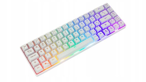Klawiatura Gamingowa White Shark Ronin White Membranowa LED 68 klawiszy