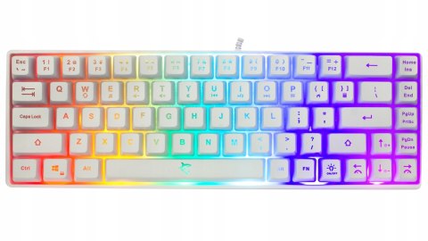 Klawiatura Gamingowa White Shark Ronin White Membranowa LED 68 klawiszy