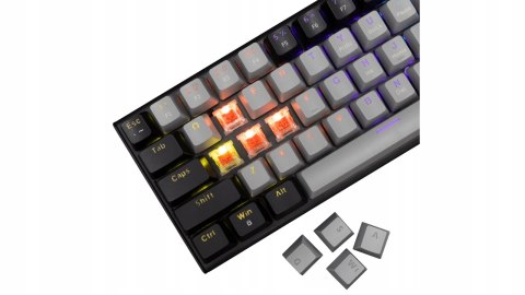 Klawiatura Gamingowa White Shark Wakizashi 2 Mechaniczna Red Switch RGB US