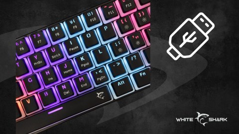 Klawiatura gamingowa White Shark Ashiko 2 Black USB Red Switch RGB US