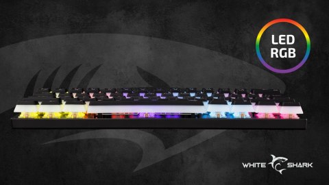 Klawiatura gamingowa White Shark Ashiko 2 Black USB Red Switch RGB US