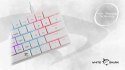 Klawiatura gamingowa White Shark Nagamaki USB Red Switch RGB US Mechaniczna