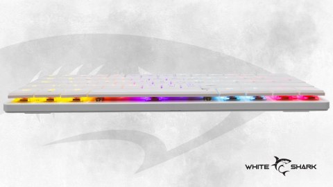 Klawiatura gamingowa White Shark Nagamaki USB Red Switch RGB US Mechaniczna