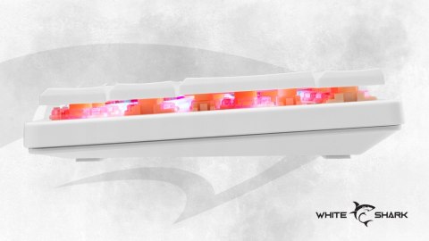 Klawiatura gamingowa White Shark Nagamaki USB Red Switch RGB US Mechaniczna